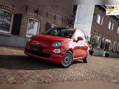 Fiat 500 - 1.0 TwinAir (60pk) AIRCO | CRUISE | Lage KM | LED |