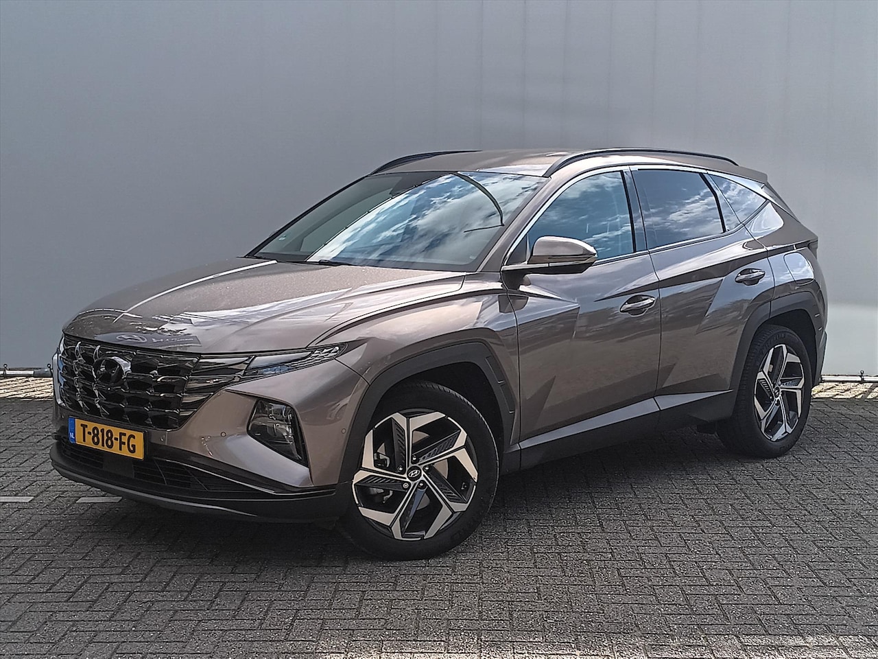 Hyundai Tucson - 1.6 T-GDi HEV 230pk Aut. Premium // Trekhaak // 1650kg trekgewicht - AutoWereld.nl