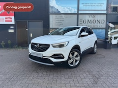 Opel Grandland X - 1.6 Turbo Plug-In Hybrid 4x4 Business Elegance 225PK