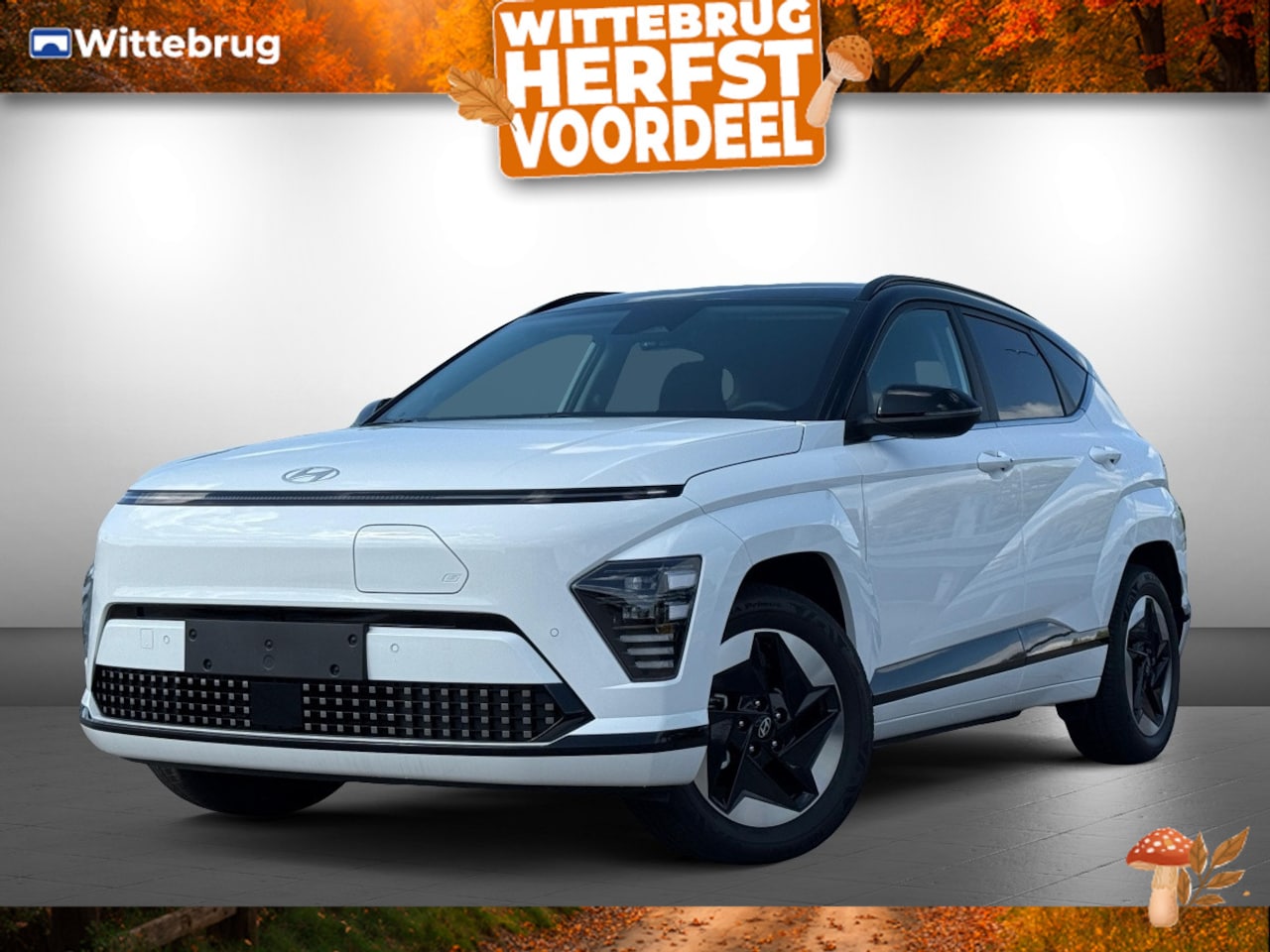 Hyundai Kona Electric - Comfort Smart 65.4 kWh Volledig Elektrisch, met Warmtepomp, Navigatie, Automatische Aircon - AutoWereld.nl