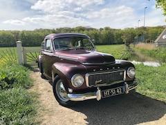 Volvo PV544 - Kattenrug