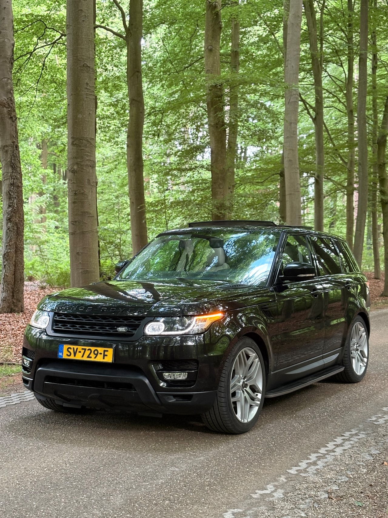Land Rover Range Rover Sport - 3.0 TDV6 HSE Dynamic - AutoWereld.nl