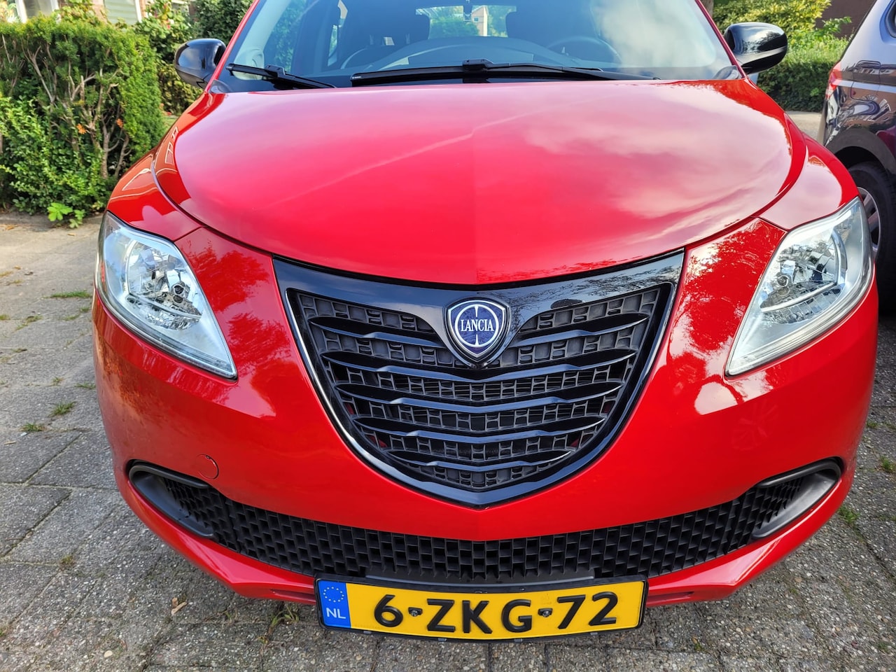 Lancia Y(psilon) - 0.9 TwinAir Elefantino - AutoWereld.nl