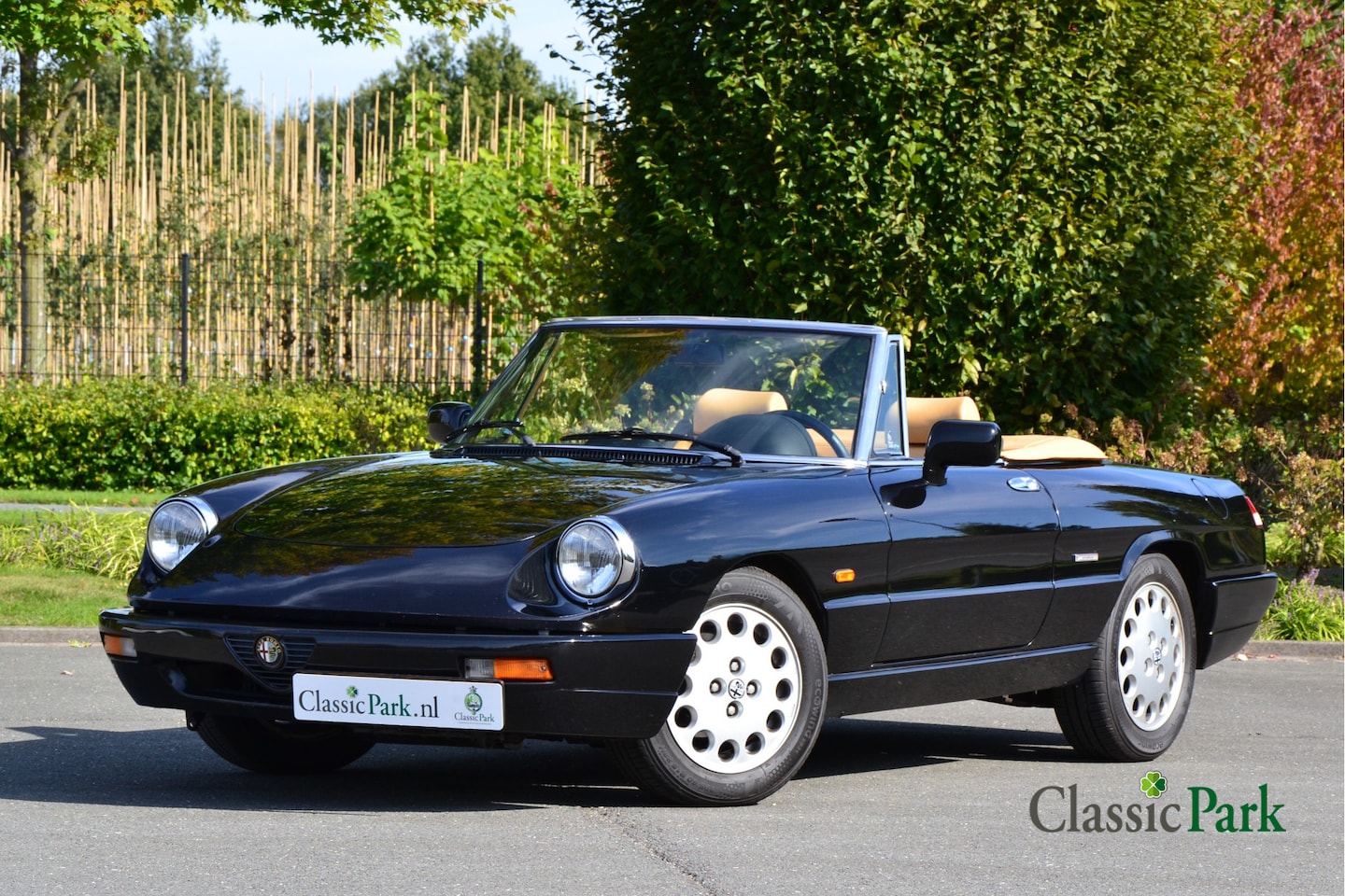 Alfa Romeo Spider - 2.0 Type 4 - AutoWereld.nl
