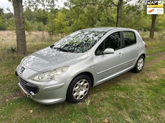 Peugeot 307 - 1.4-16V XS apk t/m 15-01-2026