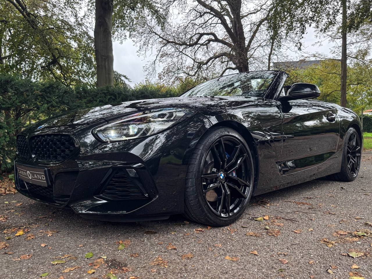 BMW Z4 Roadster - M40i M40i, M-Sportpakket, Memory, H/K, Adaptief - AutoWereld.nl