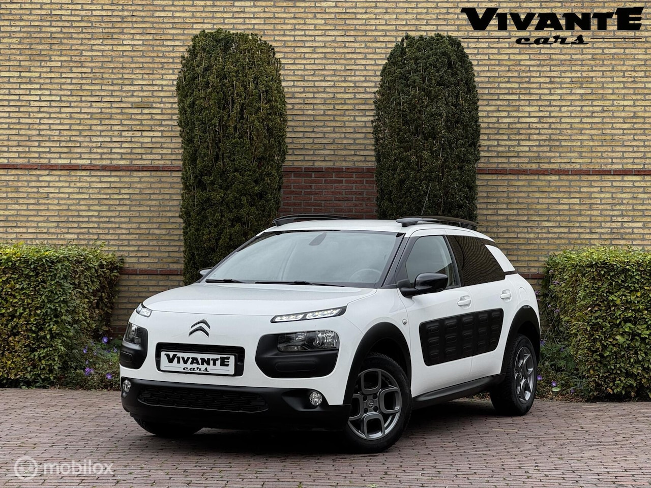 Citroën C4 Cactus - 1.2 PureTech Shine Camera*Cruise*Clima* - AutoWereld.nl