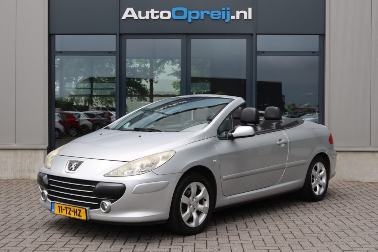 Peugeot 307 - 307cc 2.0-16V XS Clima, Half Leder - AutoWereld.nl