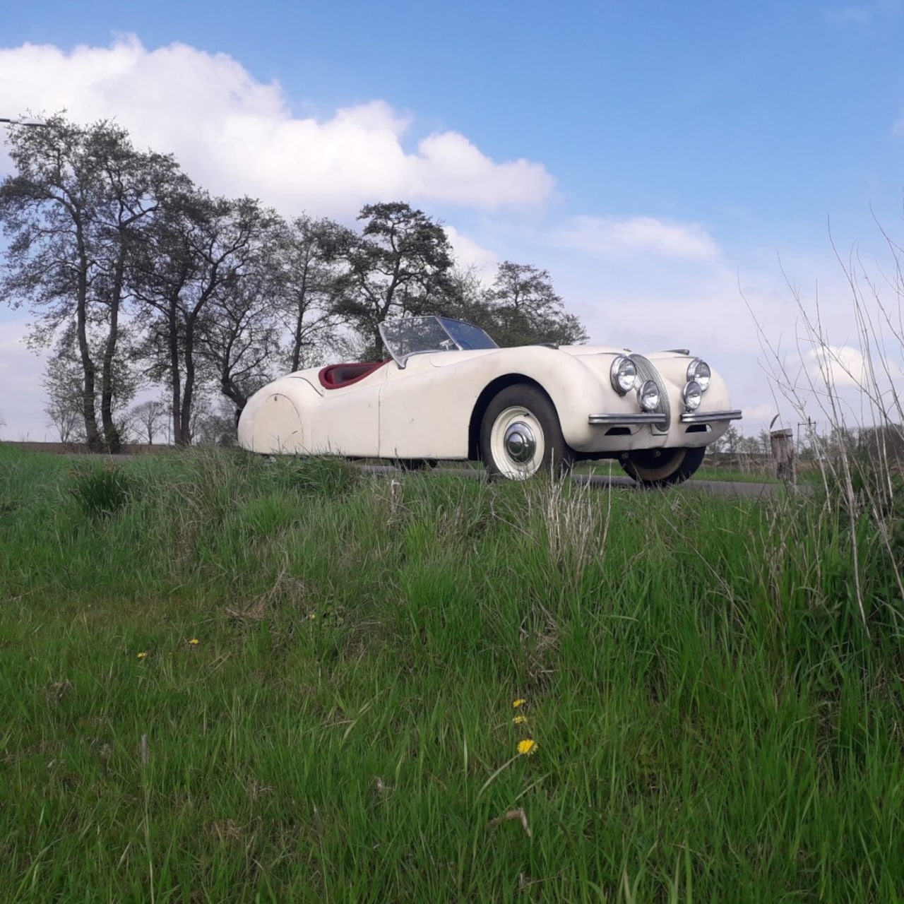 Jaguar XK - XK 120 Roadster - AutoWereld.nl