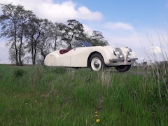 Jaguar XK - XK 120 Roadster