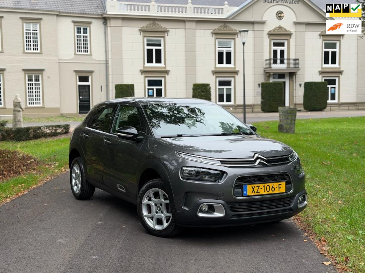 Citroën C4 Cactus - 1.2 PureTech Business 1.2 PureTech Business - AutoWereld.nl