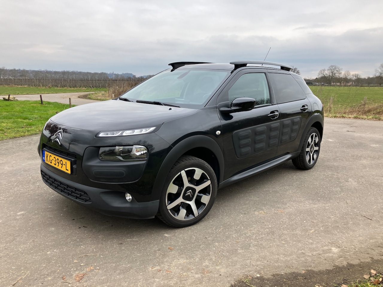 Citroën C4 Cactus - 1.2 PureTech Shine - AutoWereld.nl