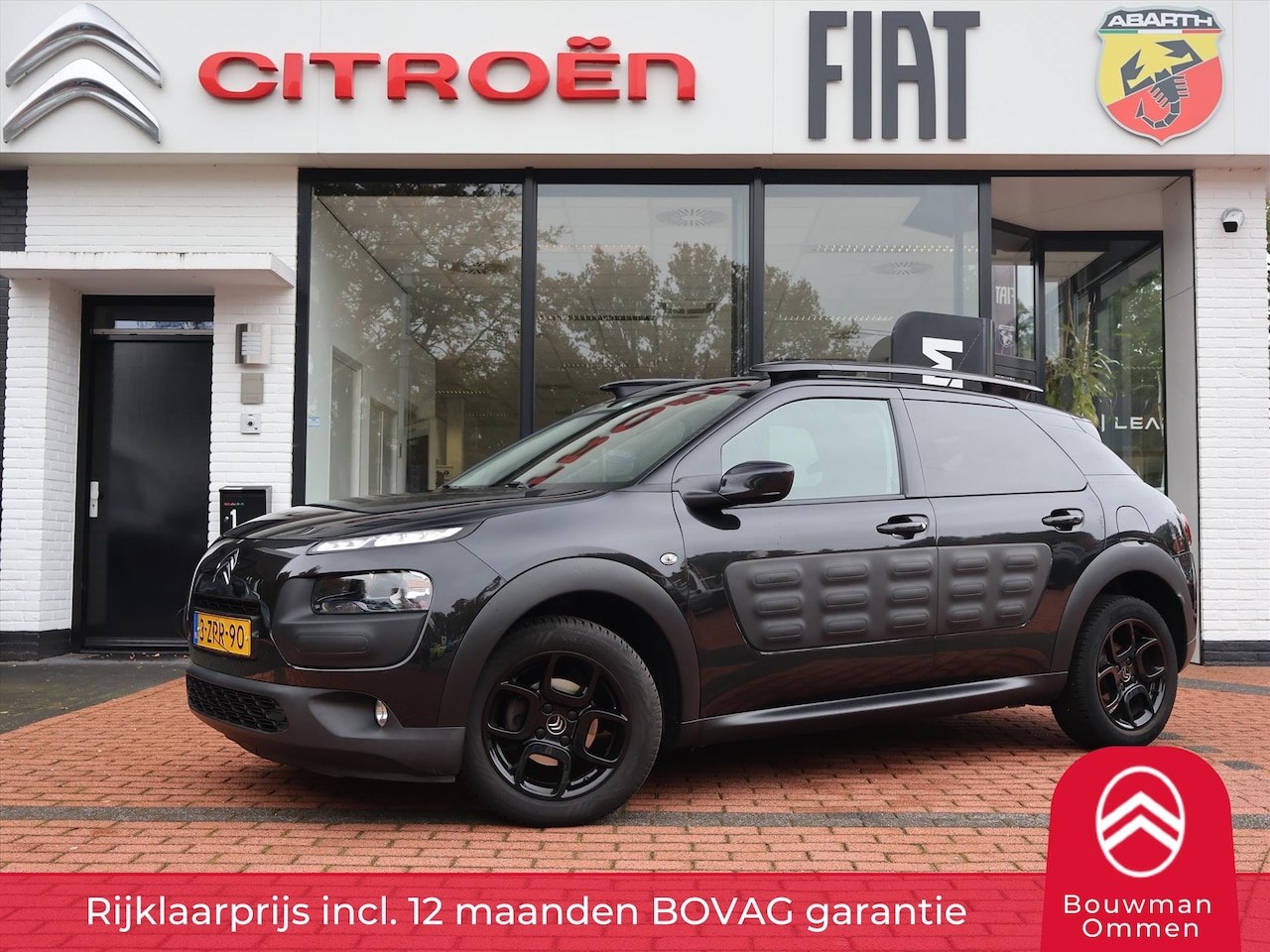 Citroën C4 Cactus - PureTech turbo 110PK Shine Business, Rijkaarprijs | Navigatie | Camera | Trekhaak | Stoelv - AutoWereld.nl