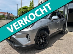 Toyota RAV4 - 2.5 Hybrid Executive|Pano|JBL|Leder|19" LM Velgen