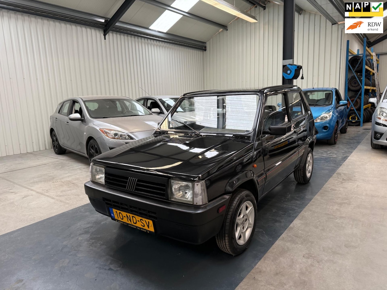 Fiat Panda - 1.1 Young 1.1 Young - AutoWereld.nl