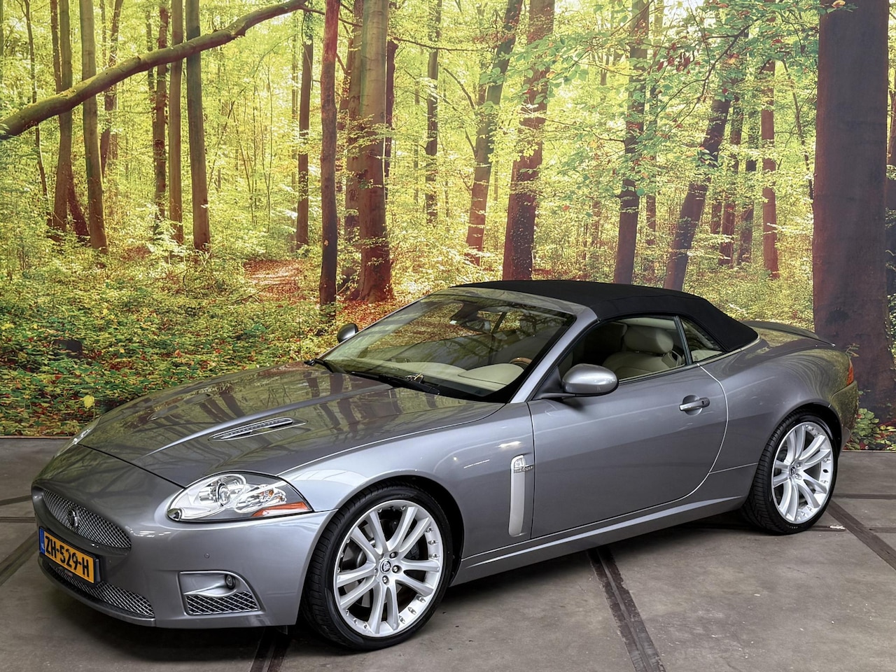 Jaguar XKR - 4.2 V8 Convertible 416 PK Automaat Youngtimer Leder Navi Xenon 20 Inch PDC V+A Keyless Alp - AutoWereld.nl