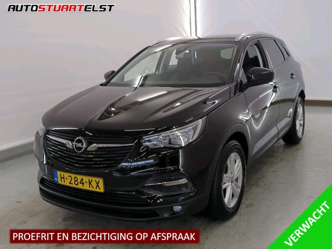 Opel Grandland X - 1.2 Business Executive 2e Eigenaar | Dealer Onderh | NL-Auto | BTW | Winterpack | Elek Kle - AutoWereld.nl