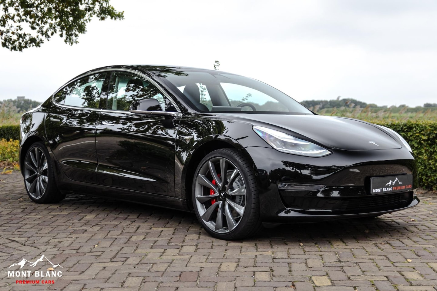 Tesla Model 3 - Performance AWD 75 kWh - AutoWereld.nl