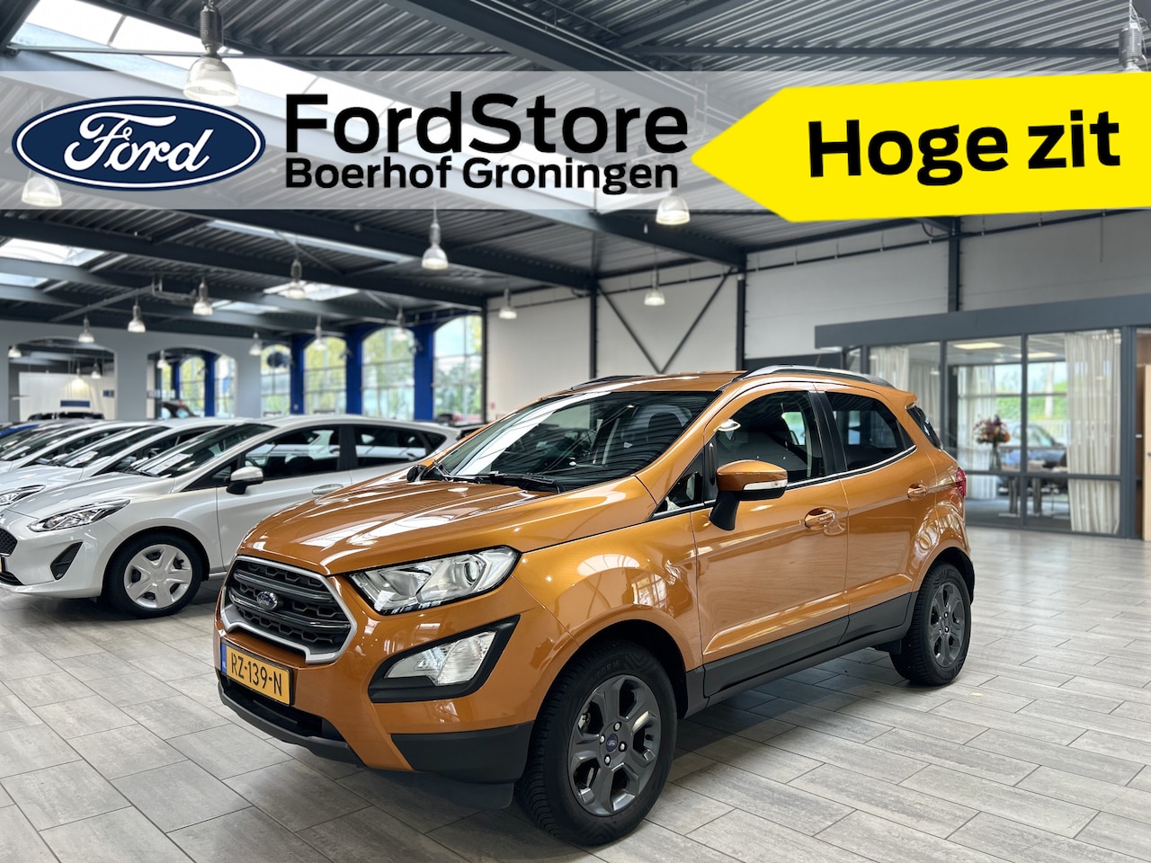 Ford EcoSport - EcoBoost 125 pk Trend Ultimate | Camera | Navi | Cruise | 4 seiz. banden | 100% dealer ond - AutoWereld.nl