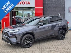 Toyota RAV4 - 2.5 Hybrid Executive 4-SEASONS JBL-AUDIO 360-CAMERA ELEK. BEST. STOEL EN ACHTERKLEP DODEHO