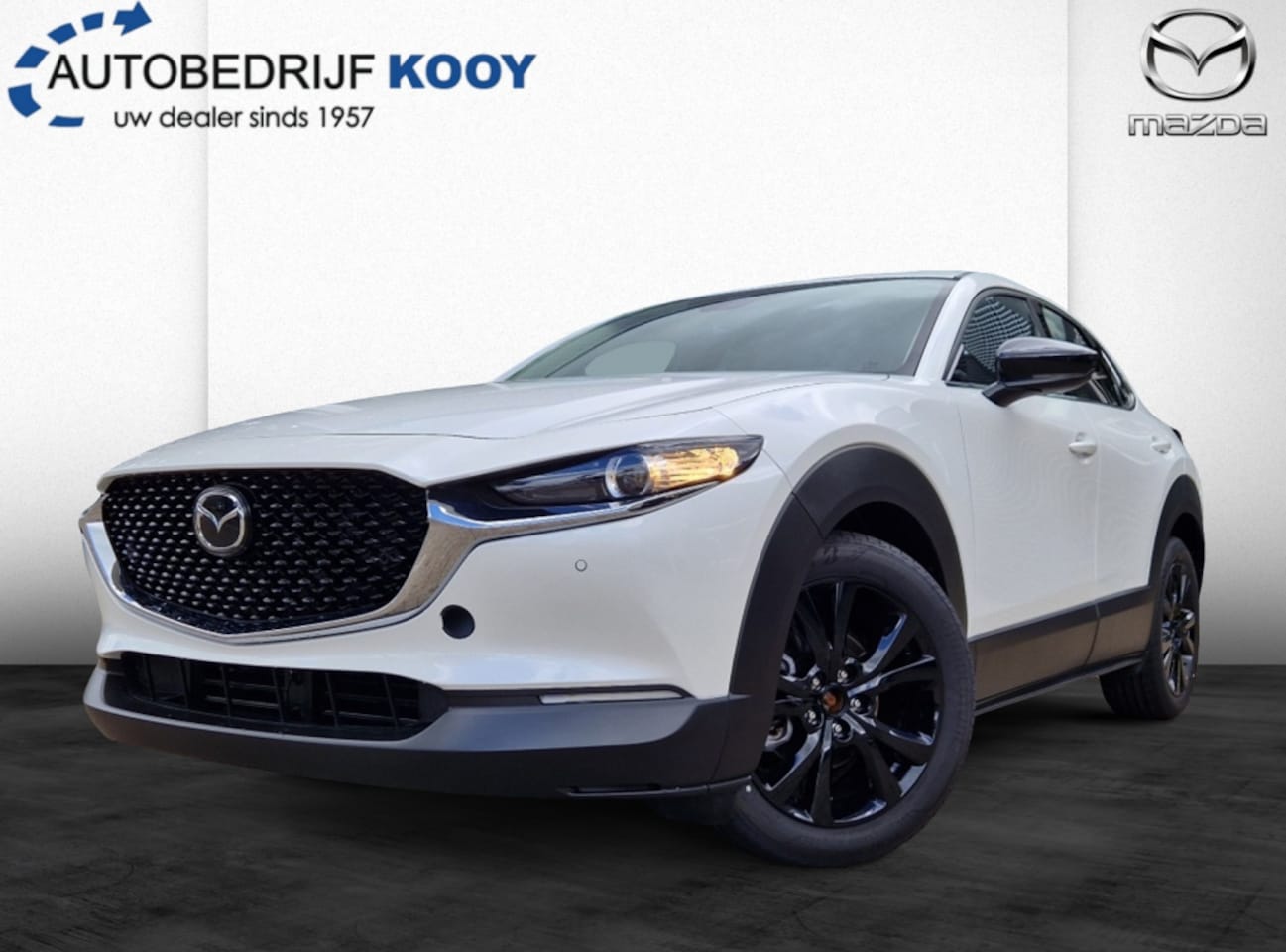 Mazda CX-30 - 2.5 e-SkyActiv-G 140 Homura - AutoWereld.nl