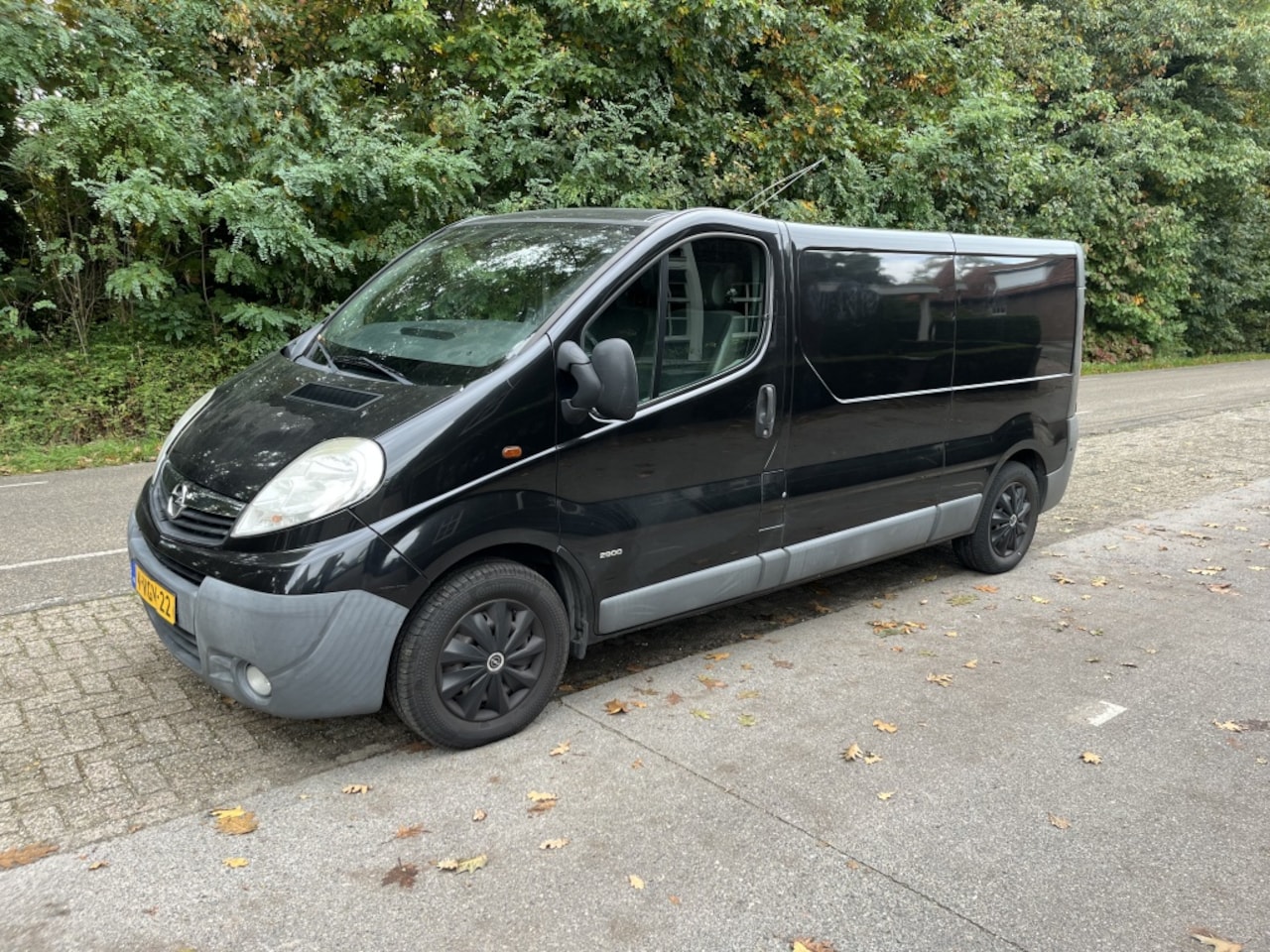Opel Vivaro - 2.5 CDTI L2 H1 2.5 CDTI L2H1 - AutoWereld.nl