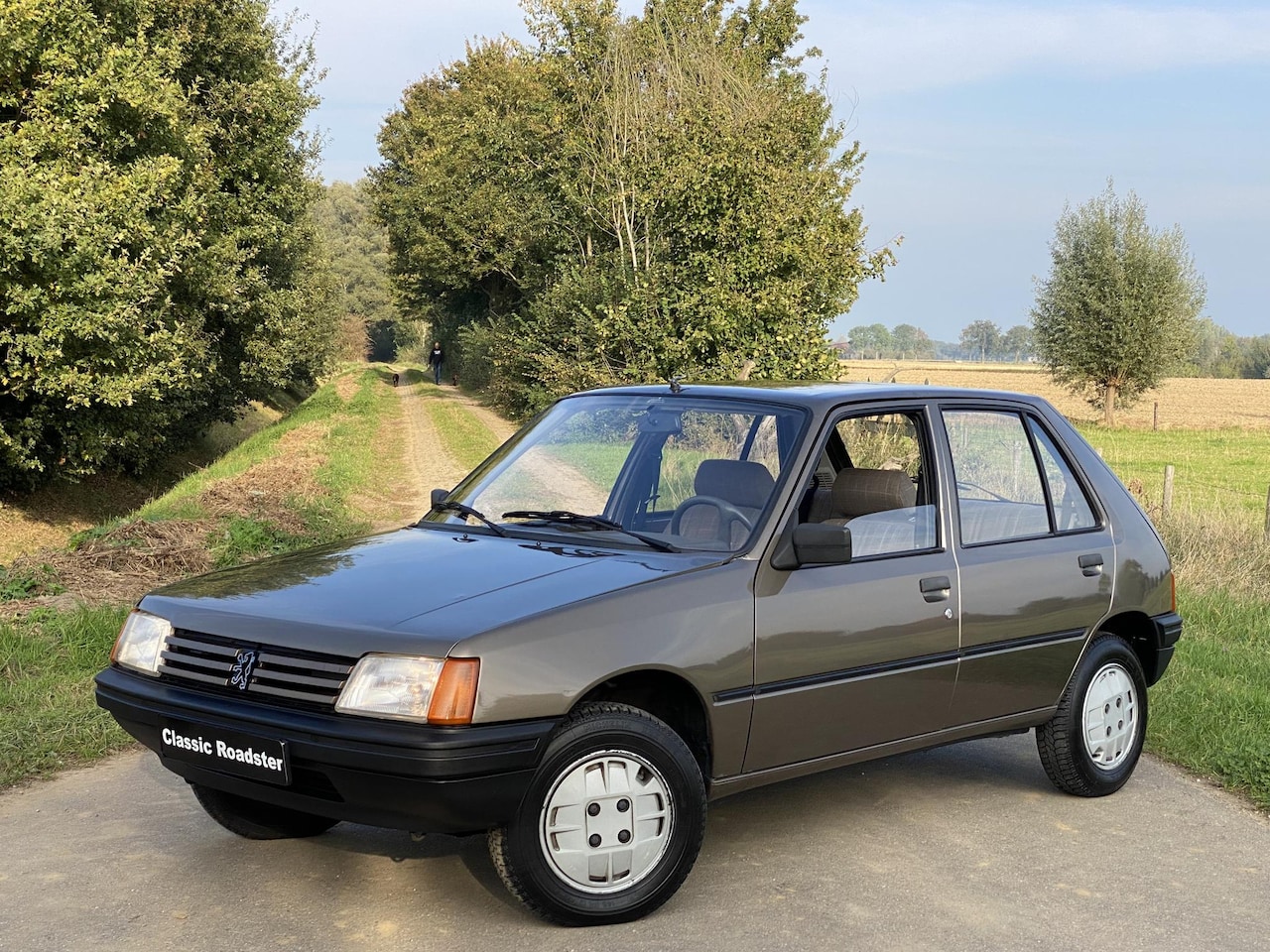 Peugeot 205 - 1.1 GL 1983, 79.500KM - AutoWereld.nl