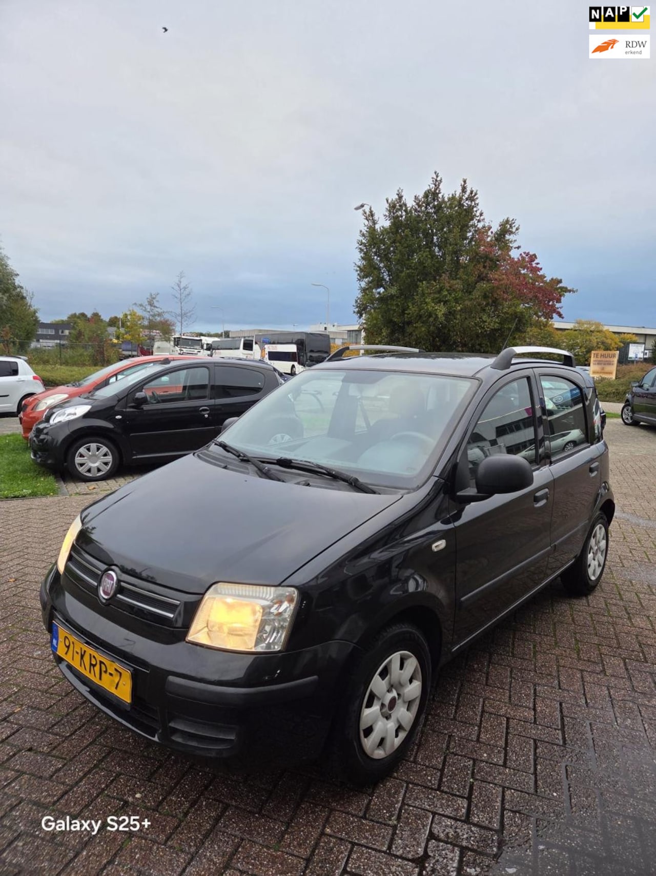 Fiat Panda - 1.2 Edizione Cool 1.2 Edizione Cool - AutoWereld.nl