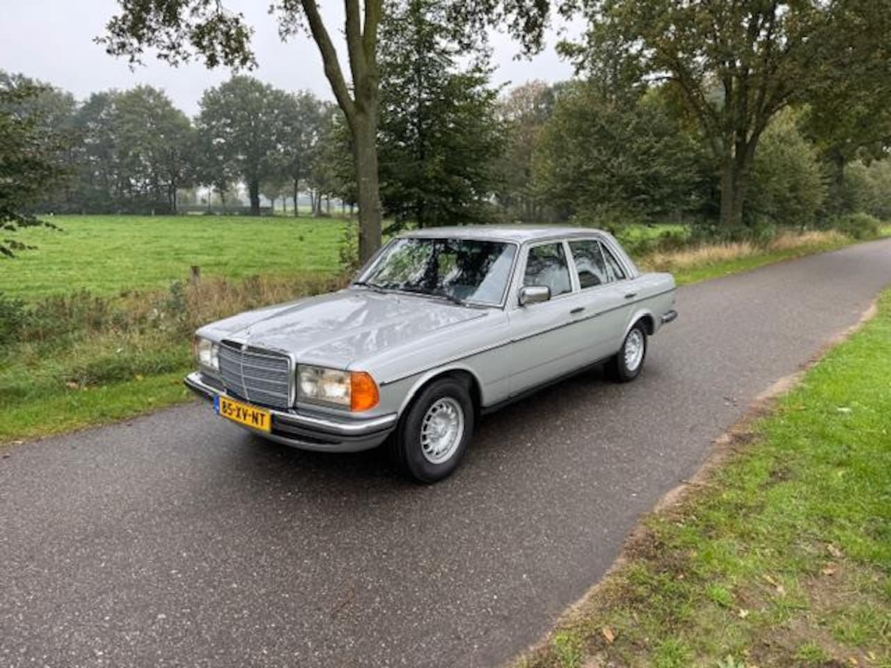 Mercedes-Benz 200-280 (W123) - 280E Automaat 1981 Geheel Gerestaureerd! - AutoWereld.nl