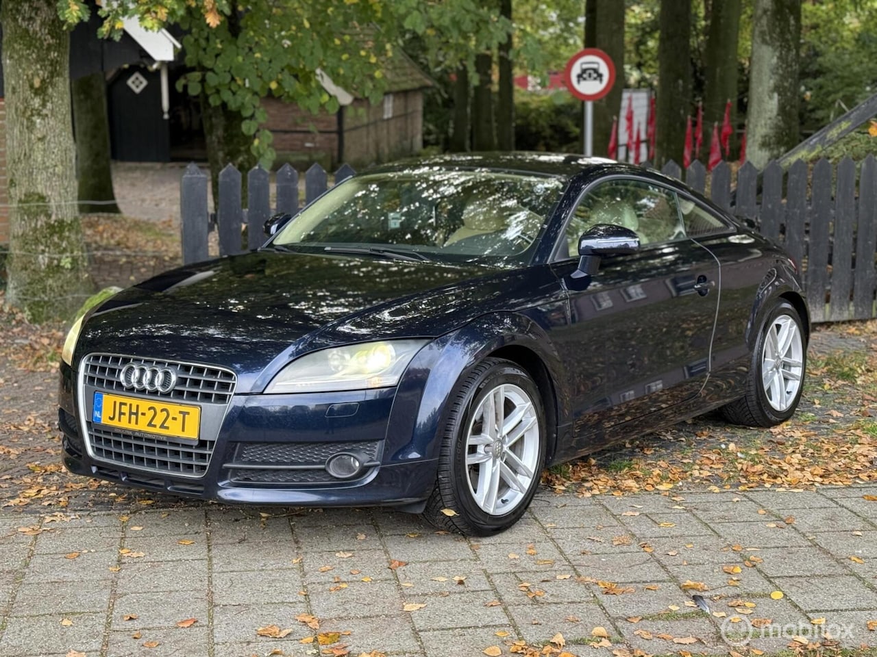 Audi TT - 2.0 TFSI Pro Line 2.0 TFSI Pro Line - AutoWereld.nl