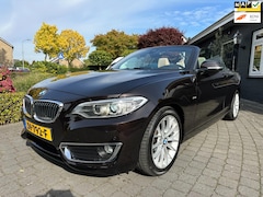 BMW 2-serie Cabrio - 218i High Executive, Org NL, Leder, NAP