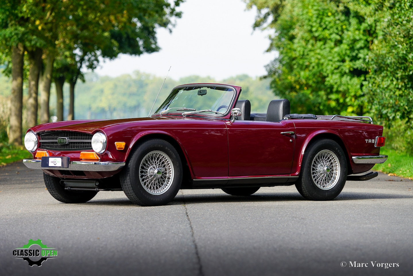 TRIUMPH TR 6