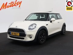MINI One - 1.2 Salt Business