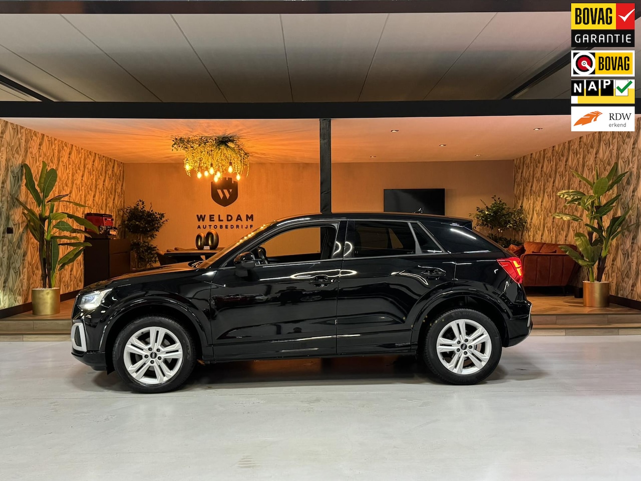 Audi Q2 - 35 TFSI Pro Line Garantie Carplay PDC Cruise Keyless Clima Navi Dab Led Rijklaar - AutoWereld.nl