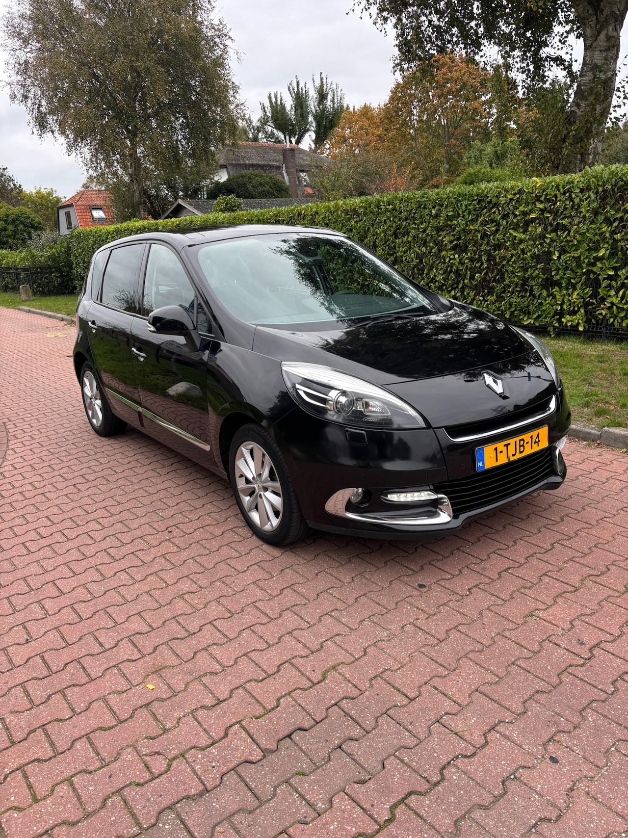 Renault Scénic - 2.0 Privilege AUTOMAAT BOMVOL OPTIES! - AutoWereld.nl