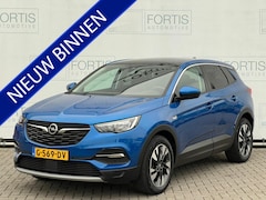 Opel Grandland X - 1.2 Turbo Business Executive NL AUTO | CAMERA | CARPLAY |