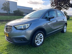 Opel Crossland X - 1.2 Turbo Online Edition * Koppakking defect
