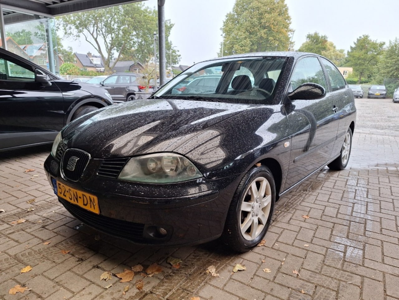 SEAT Ibiza - 1.4-16V Sensation 1.4-16V Sensation - AutoWereld.nl