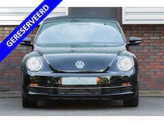 Volkswagen Beetle Cabriolet - II Beetle Cabriolet 1.2 TSI BMT