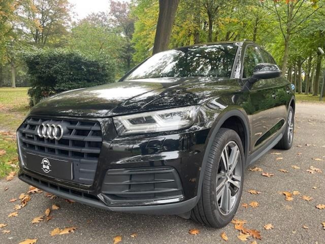 Audi Q5 - 50 TFSI e quattro Pro Line 50 TFSI e quattro Pro Line - AutoWereld.nl