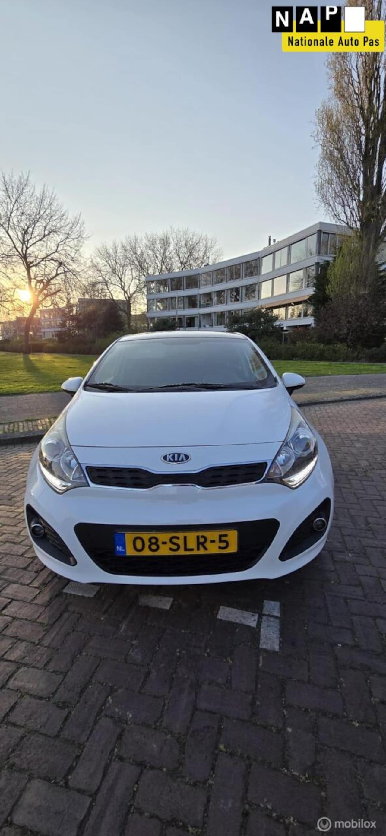 Kia Rio - 1.4 CVVT Plus Pack 1.4 CVVT Plus Pack - AutoWereld.nl