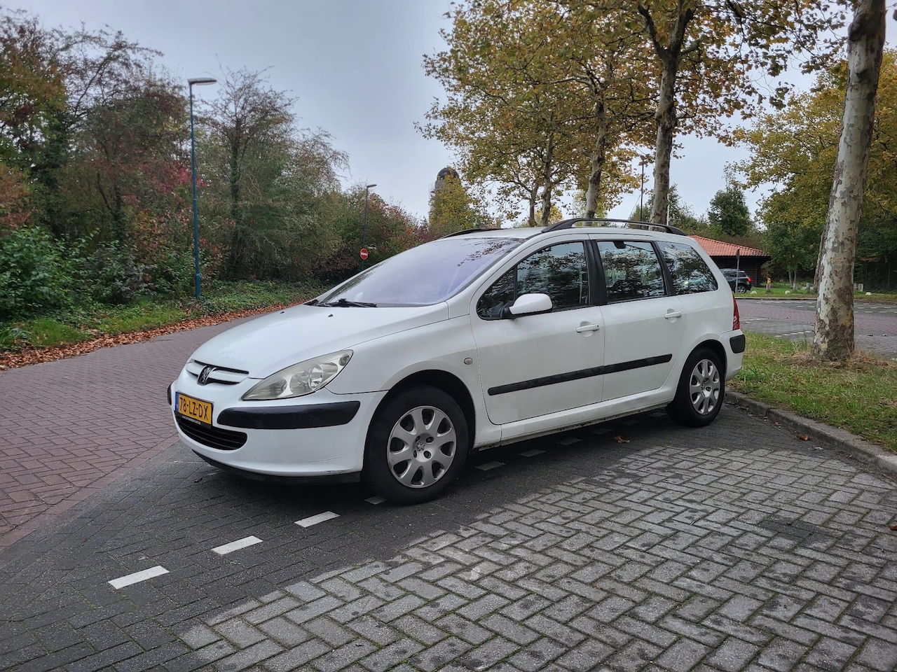 Peugeot 307 Break - 1.6-16V XS - AutoWereld.nl