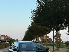 BMW 1-serie - 116i Corporate