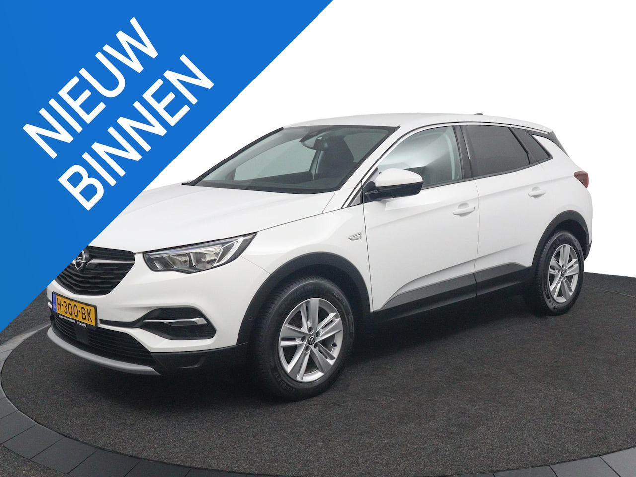 Opel Grandland X - 1.2 Turbo Business Executive Rijklaarprijs! Trekhaak! - AutoWereld.nl