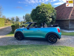 MINI Cabrio - 1.5 Cooper Chili-NL auto-Navi-PDC-17"