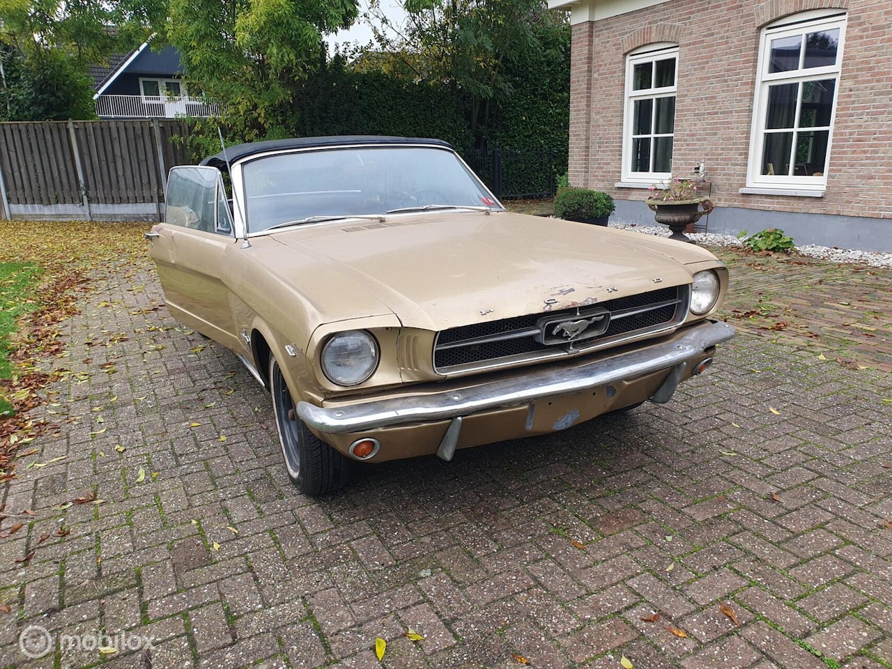 Ford Mustang - Cabriolet - AutoWereld.nl