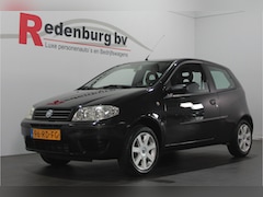Fiat Punto - 1.2 Young - Airco / Lichtmetalen velg 15''