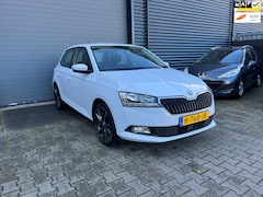 Skoda Fabia - 1.0 TSI Ambition STOELVERWARMING/APPLE CARPLAY/TREKHAAK