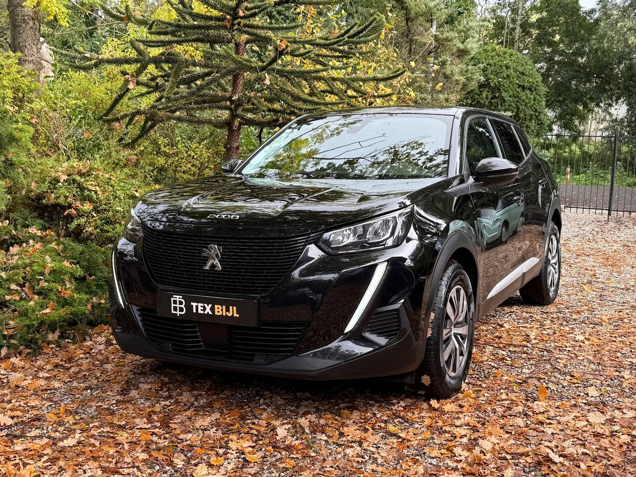 Peugeot 2008 - 1.2 PureTech Active |Camera|Carplay|Navi|Etc. - AutoWereld.nl