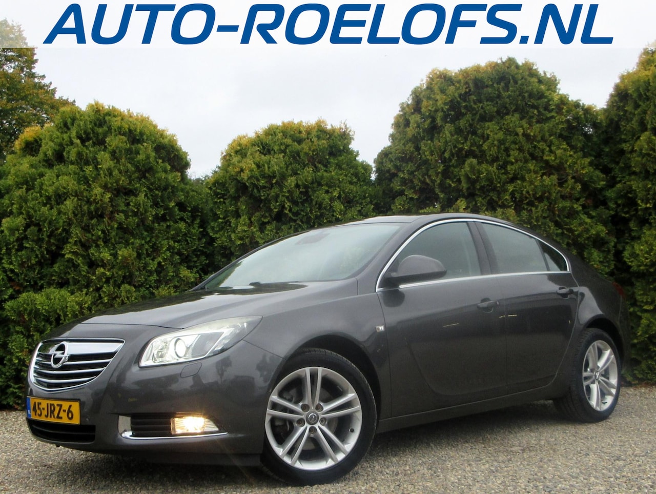 Opel Insignia - 1.6 T Business *Navigatie* - AutoWereld.nl